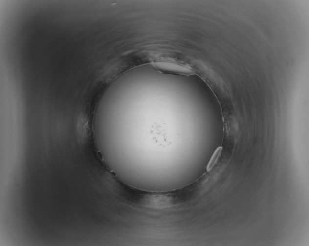 X0000101950327200807251139