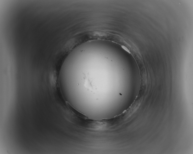 X0000101950328200807251139