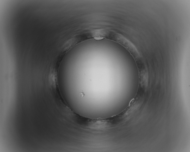 X0000101950329200807251139