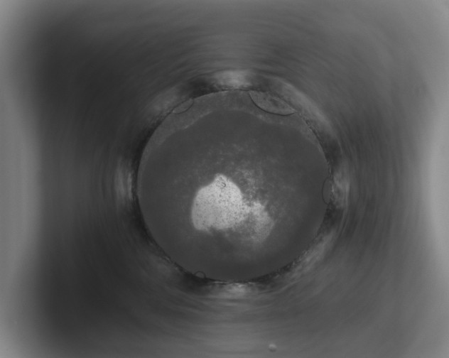 X0000101950330200807251139