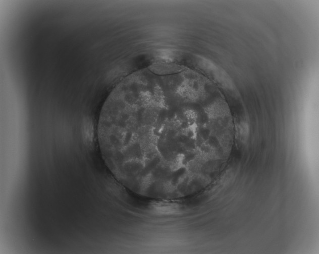 X0000101950331200807251139