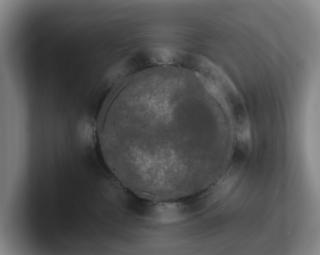 X0000101950332200807251139