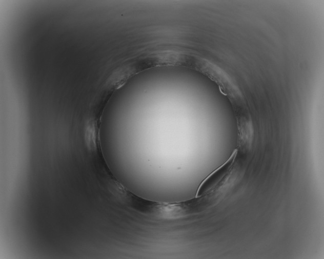 X0000101950333200807251139