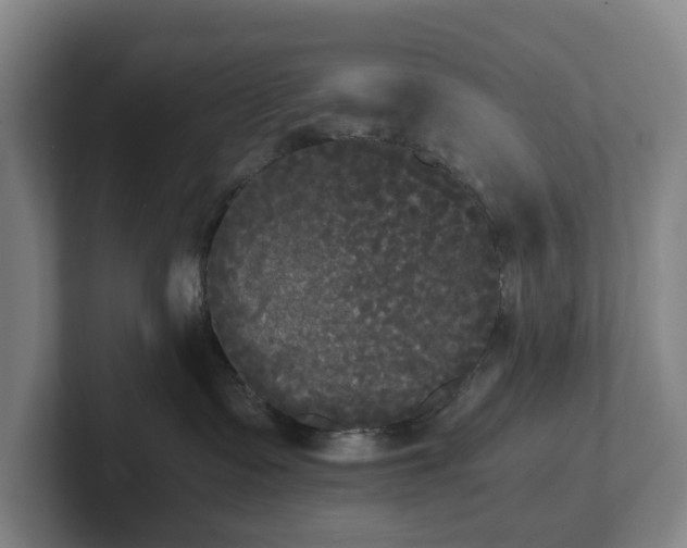 X0000101950335200807251139