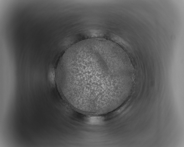 X0000101950336200807251139