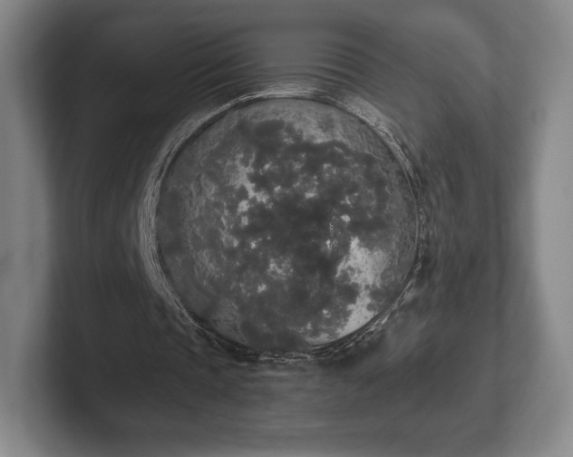 X0000101950337200807251139