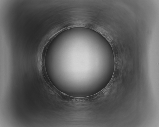 X0000101950338200807251139