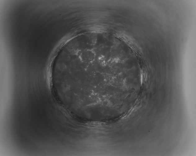 X0000101950339200807251139