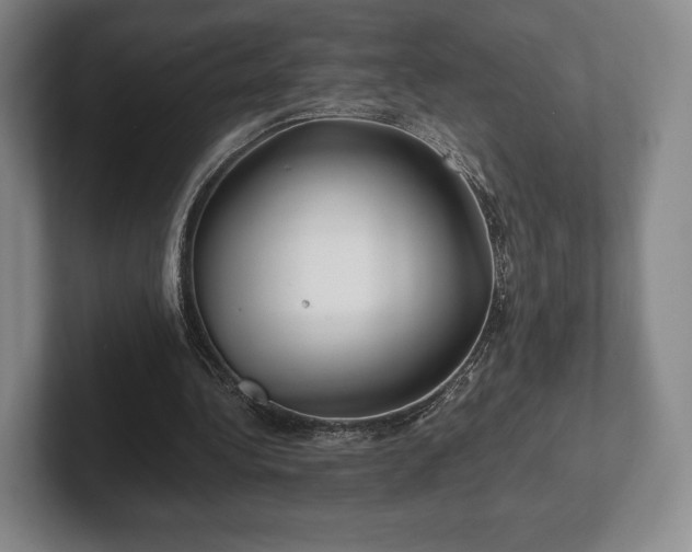 X0000101950340200807251139