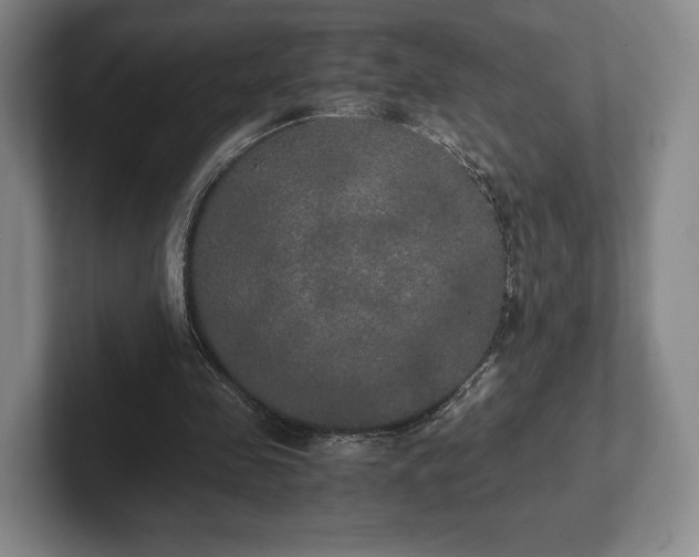 X0000101950341200807251139