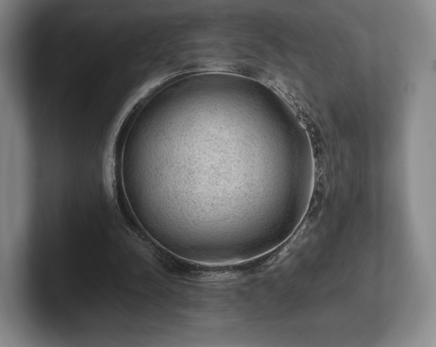 X0000101950342200807251139