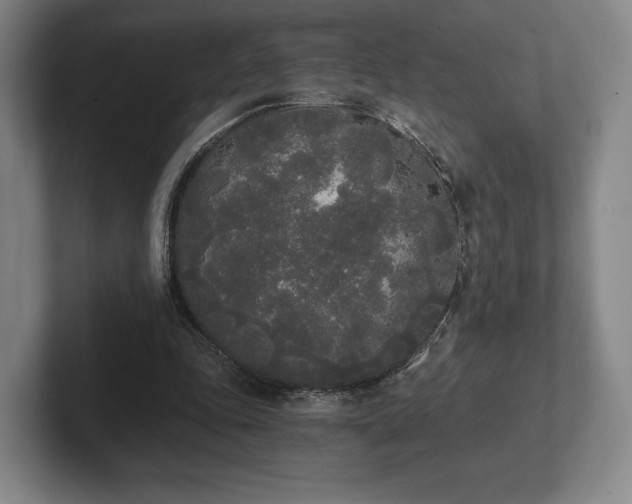 X0000101950343200807251139