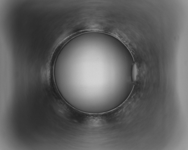 X0000101950344200807251139