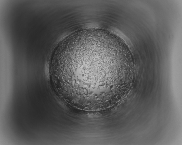 X0000101950345200807251139