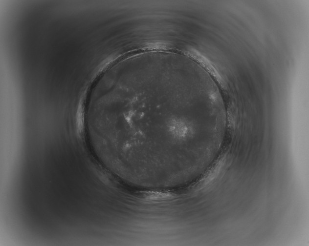 X0000101950347200807251139