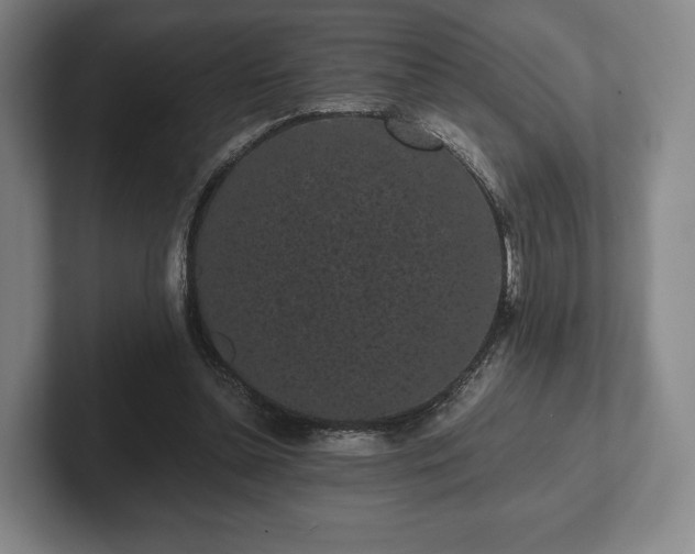 X0000101950348200807251139