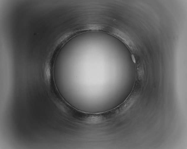 X0000101950350200807251139