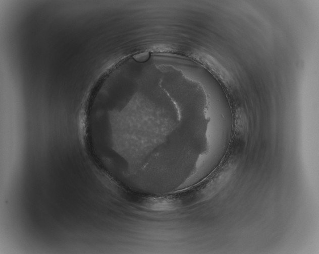 X0000101950351200807251139