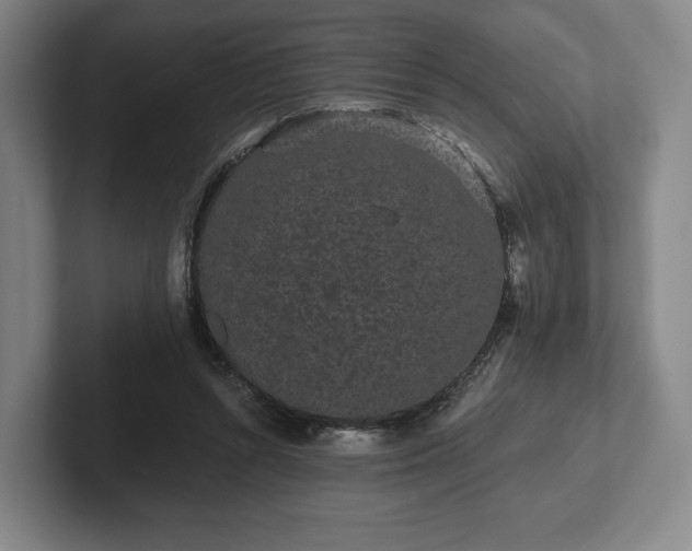 X0000101950352200807251139