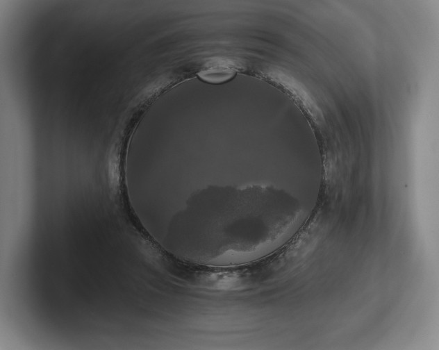 X0000101950353200807251139