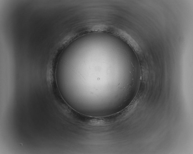 X0000101950354200807251139