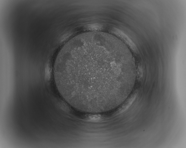 X0000101950355200807251139