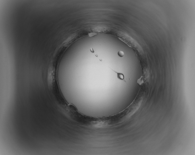 X0000101950356200807251139