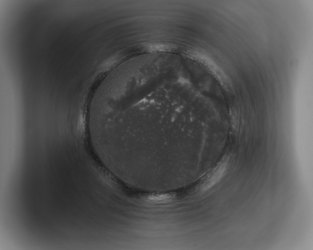 X0000101950357200807251139