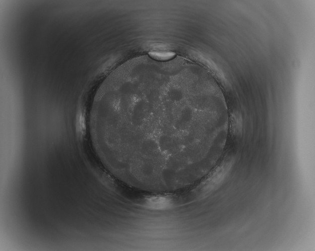 X0000101950358200807251139