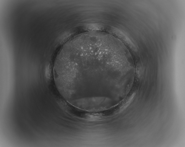 X0000101950359200807251139