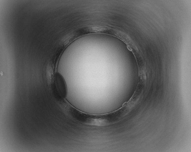 X0000101950360200807251139