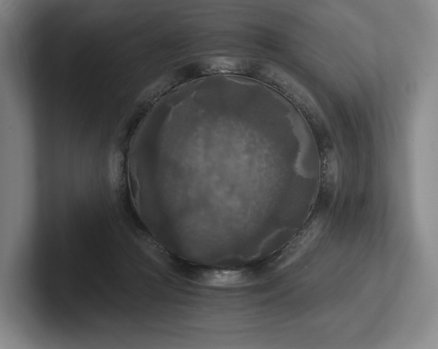 X0000101950361200807251139