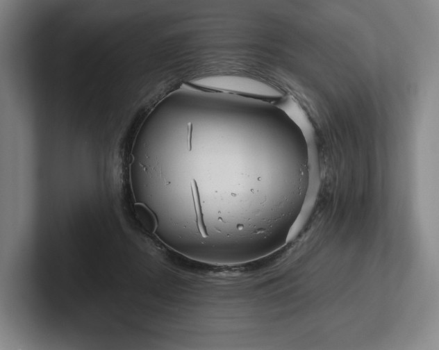 X0000101950362200807251139