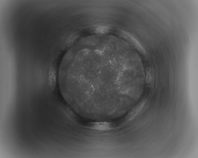 X0000101950363200807251139