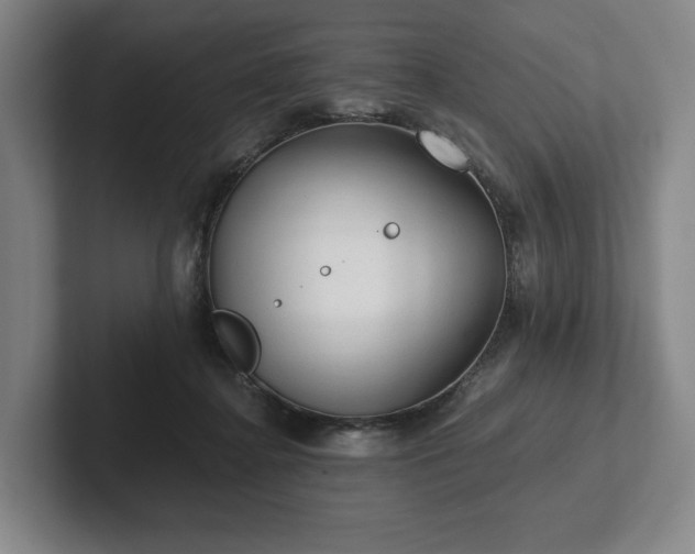 X0000101950364200807251139