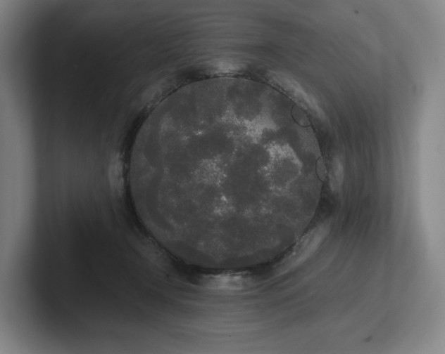 X0000101950366200807251139