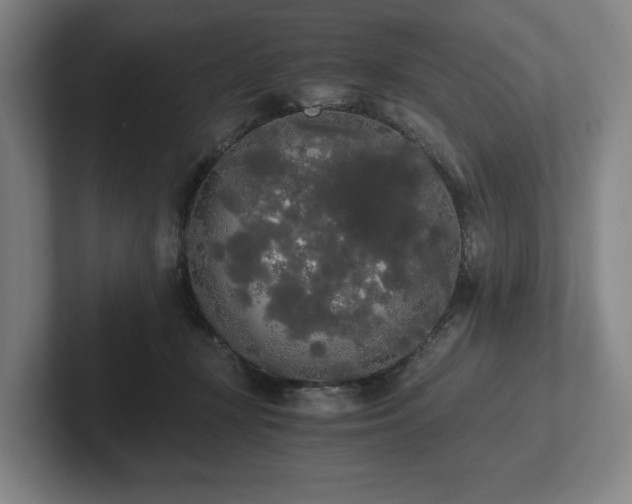 X0000101950367200807251139