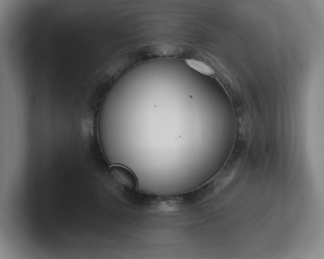 X0000101950368200807251139