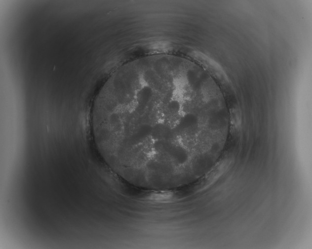 X0000101950369200807251139