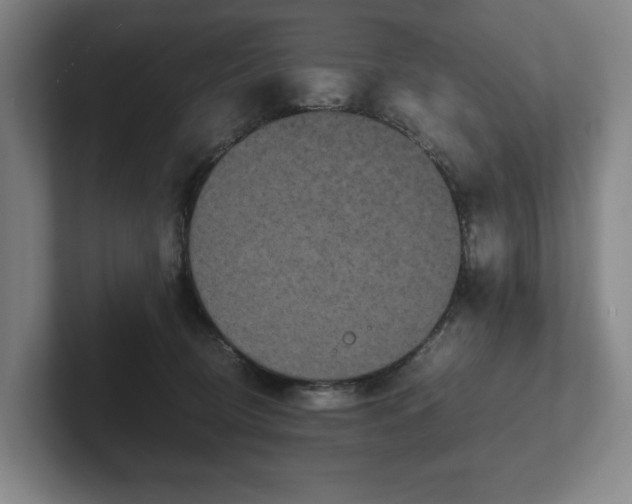 X0000101950370200807251139