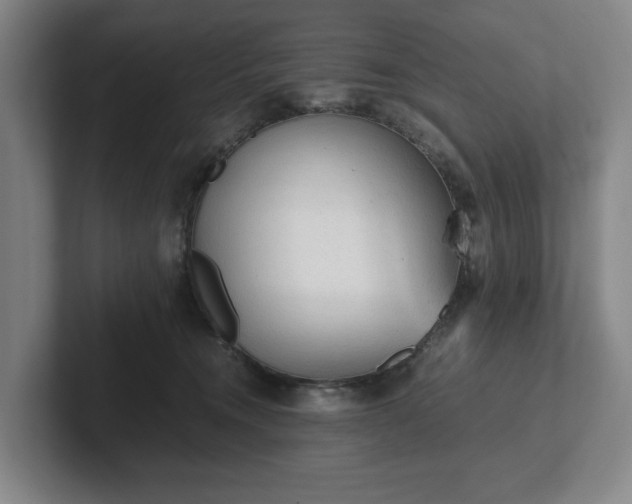 X0000101950372200807251139