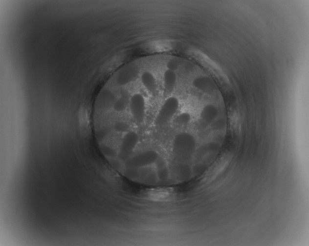 X0000101950373200807251139