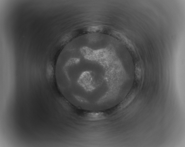 X0000101950375200807251139