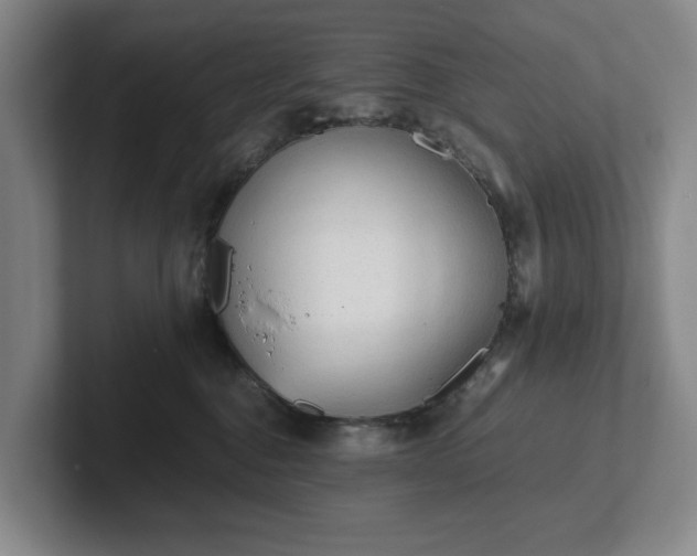 X0000101950376200807251139