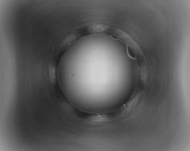 X0000101950378200807251139