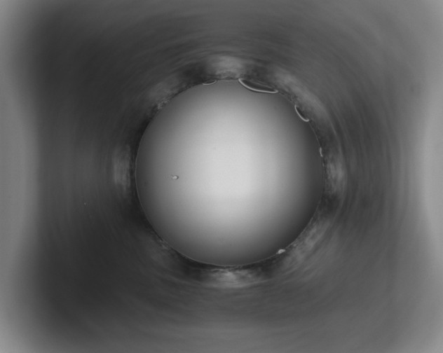 X0000101950379200807251139