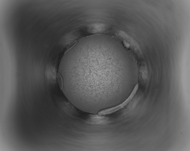 X0000101950380200807251139