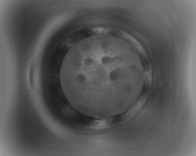 X0000101950381200807251139