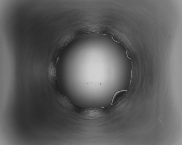 X0000101950384200807251139