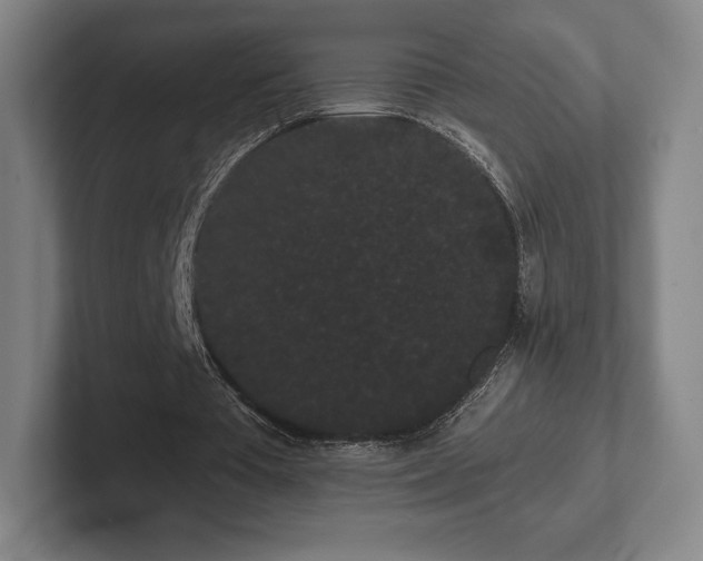 X0000101950385200807251139